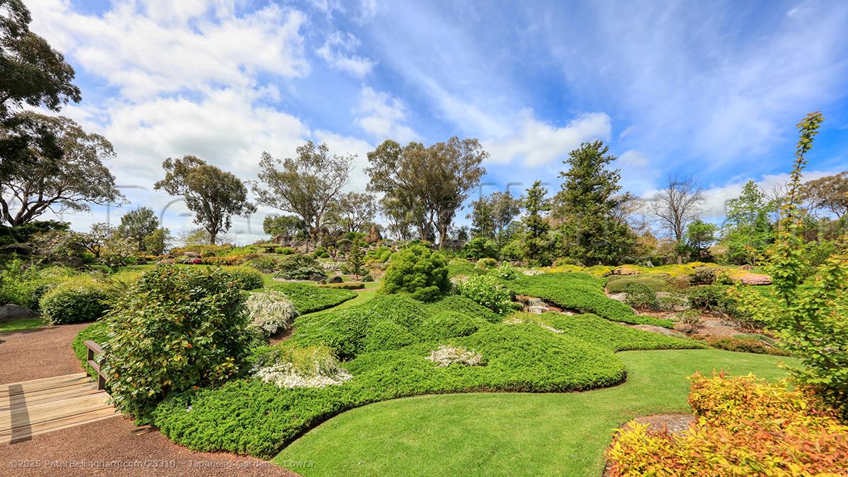 Peter Bellingham Photography Japanese Garden - Cowra